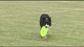 L'Educa-Cani