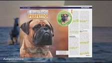 Il magazine di ottobre