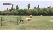 L'Educa-Cani