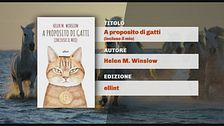 Il Can-piello