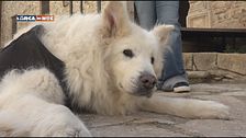 A Pietra Monte Corvino in Puglia