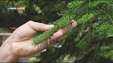 Capracotta,un orto botanico speciale