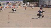 Amico pony