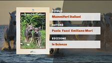Il Can-piello