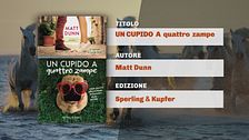 Il Can-piello
