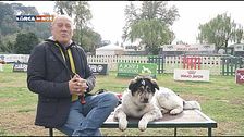 L'Educa- Cani
