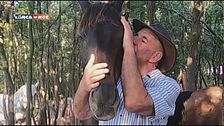Cavallo mon amour