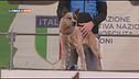 L'Educa-Cani