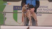 L'Educa-Cani