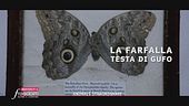 Toscana, Bagni di Lucca: torniamo al Villa Webb