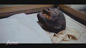 Egitto: la mummia della mamma di Tutankhamon