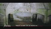 Puglia, la dura vita dei nostri avi