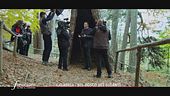 Calabria, il bosco dei giganti