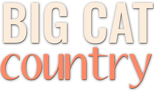 Big cat country logo