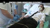 POLITI: Covid e plasma iperimmune: nonostante i risultati degli ultimi studi, il silenzio continua