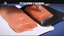 VIVIANI: C'è salmone e salmone: ecco come distinguerli