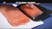 VIVIANI: C'è salmone e salmone: ecco come distinguerli