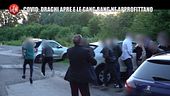 AGRESTI: Sesso e Covid: abbiamo interrotto un altro "incontro di gruppo"