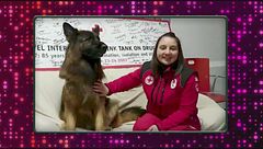 Amici dell'informazione anti pandemia