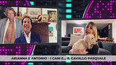 Arianna e Antonio - I cani e... il cavallo Pasquale
