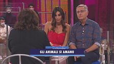 Gli animali si amano