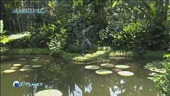 Puntata del 6 giugno