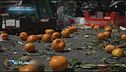 Puntata del 17 ottobre