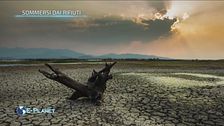 Sommersi dai rifiuti