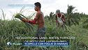 Ecopelle con foglie di ananas, le nuove frontiere dell'abbigliamento green