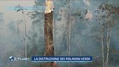 Un disastro ambientale