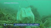 Mascherine e pericolo ambientale