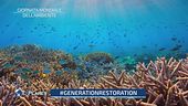 La giornata mondiale dell'ambiente