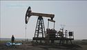 La ripresa "brucia" co2