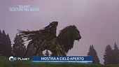 Selvart: sculture nel bosco dopo il disastro