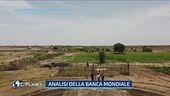 Proteggere l'ambiente "paga"