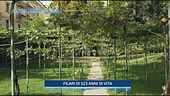 Il vino di Leonardo da Vinci