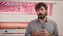 La rivoluzione verticale