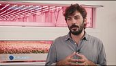 La rivoluzione verticale