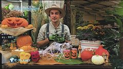 E-Garden: Halloween