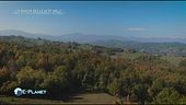 Proteggere la natura: gioiello di biodiversità