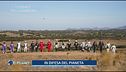 Extreme E in difesa del Pianeta