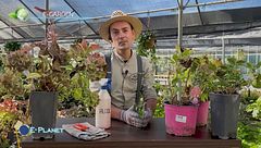 E-Garden con Stefano Pagano