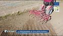 Tradizione siciliana: il programma di sviluppo rurale