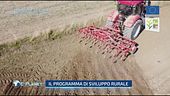 Tradizione siciliana: il programma di sviluppo rurale