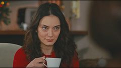 Anticipazione episodio 17