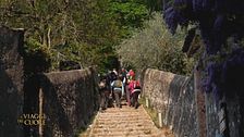 Il sentiero del Pellegrino