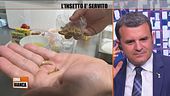 L'insetto è servito