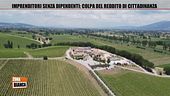 Imprenditori senza dipendenti: colpa del reddito di cittadinanza