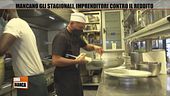 Mancano gli stagionali, imprenditori contro il reddito
