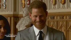 Harry: simpatico, disinibito e trasgressivo